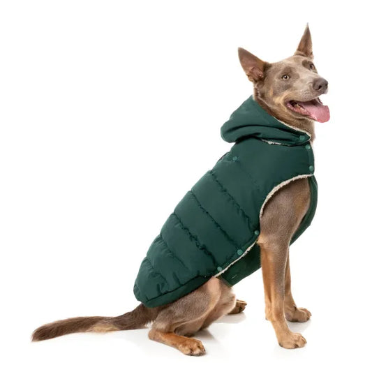 Fuzzyard Essential Puffer Jacket - Forest Green - Fuzzyard - 1