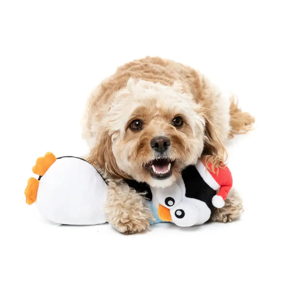 Fuzzyard Finneck the Penguin Plush Christmas Dog Toy - Fuzzyard - 2