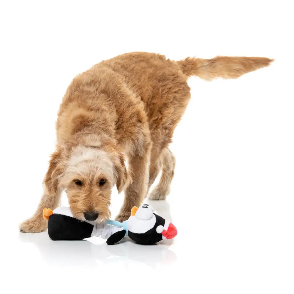 Fuzzyard Finneck the Penguin Plush Christmas Dog Toy - Fuzzyard - 3