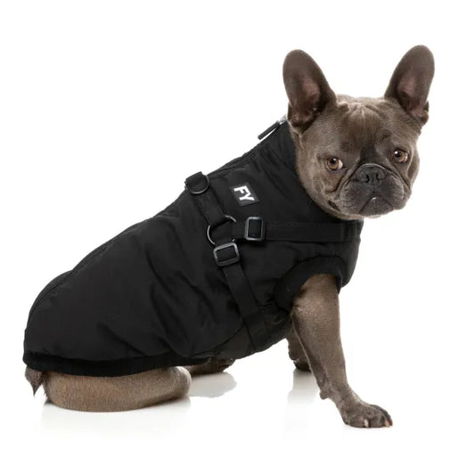 Fuzzyard Flash Dog Harness Jacket - Black - Fuzzyard - 1