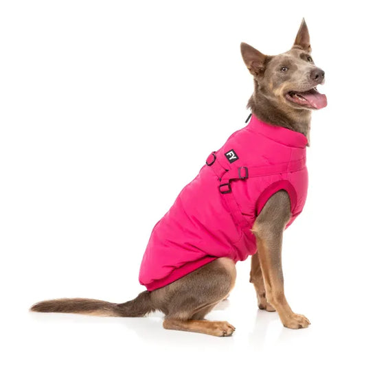 Fuzzyard Flash Dog Harness Jacket - Magenta - Fuzzyard - 1
