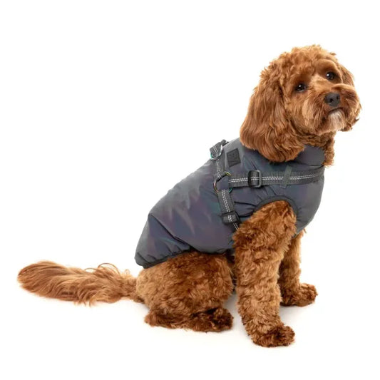 Fuzzyard Flash Dog Harness Jacket - Reflective - Fuzzyard - 1