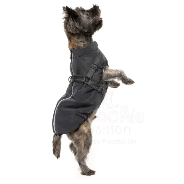 Fuzzyard Flash Dog Harness Jacket - Reflective - Fuzzyard - 5