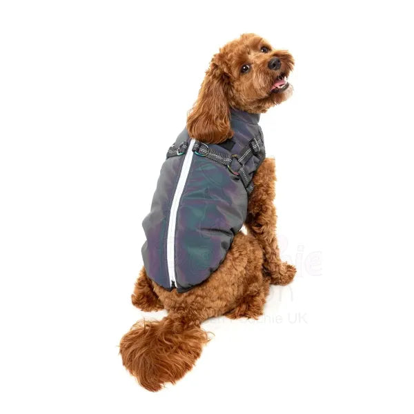 Fuzzyard Flash Dog Harness Jacket - Reflective - Fuzzyard - 3