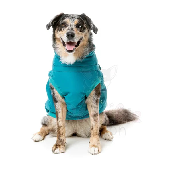 Fuzzyard Flash Dog Harness Jacket - Teal - Fuzzyard - 5