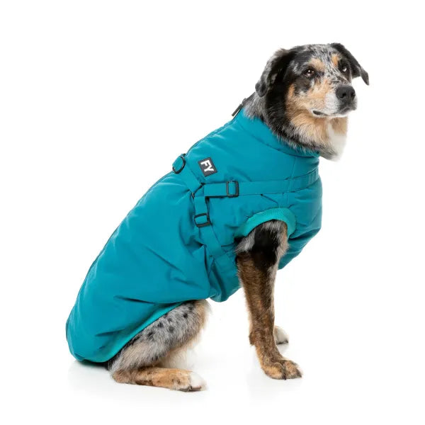 Fuzzyard Flash Dog Harness Jacket - Teal - Fuzzyard - 1