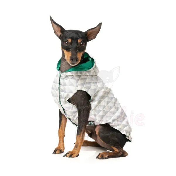 Fuzzyard Flipside Reversible Dog Raincoat - Green - Fuzzyard - 8