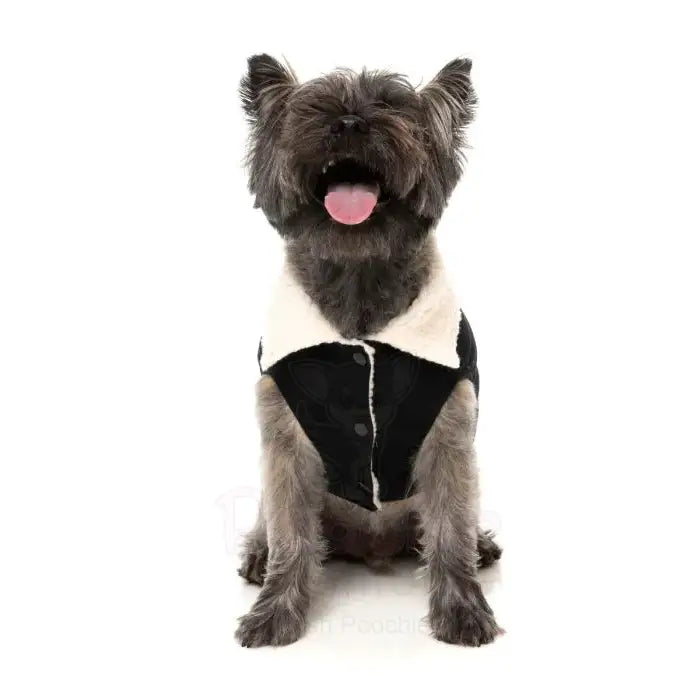 Fuzzyard Frontier Jacket - Black - Fuzzyard - 6