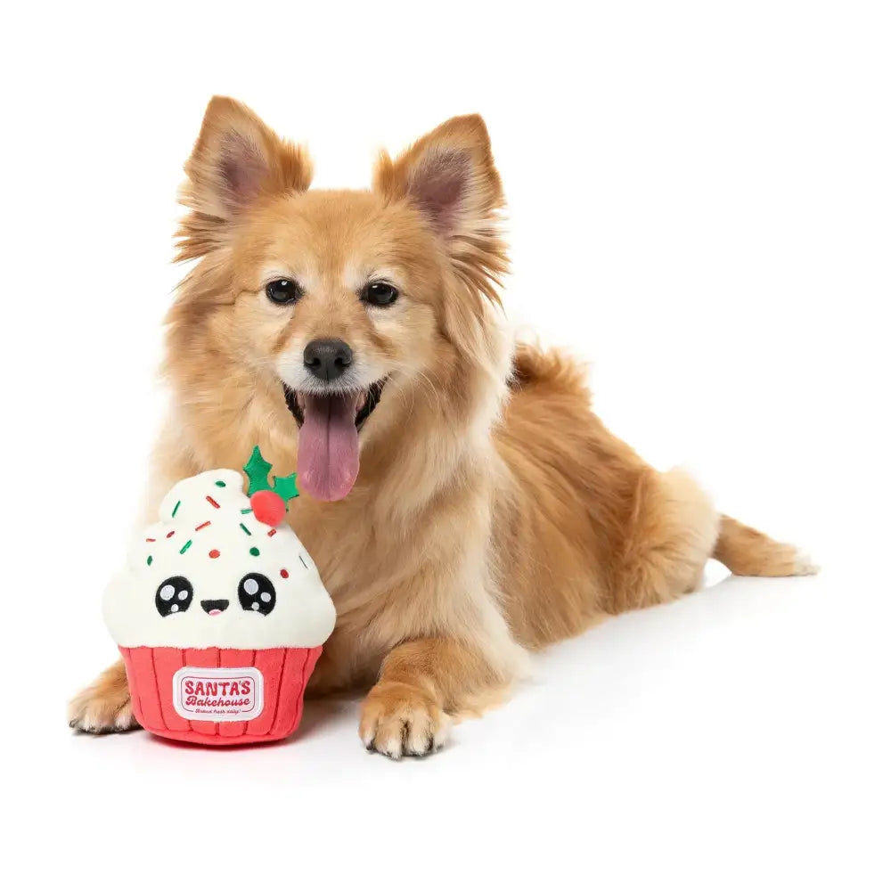 Fuzzyard Frosty Cupcake Plush Christmas Dog Toy - Fuzzyard - 2