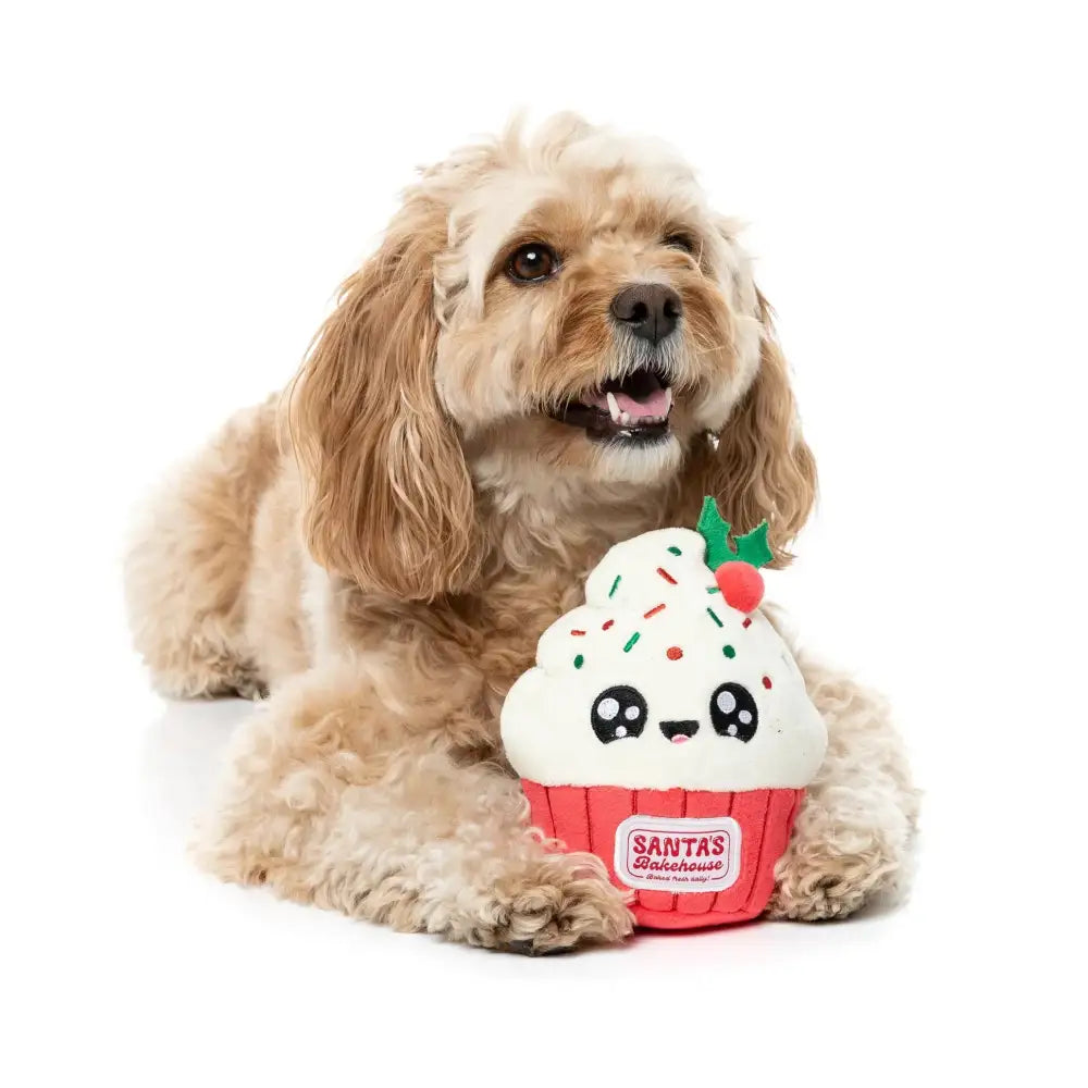 Fuzzyard Frosty Cupcake Plush Christmas Dog Toy - Fuzzyard - 3