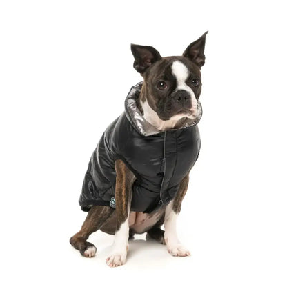 Fuzzyard Hakuba Insulated Dog Puffer Jacket - Black - Fuzzyard - 3