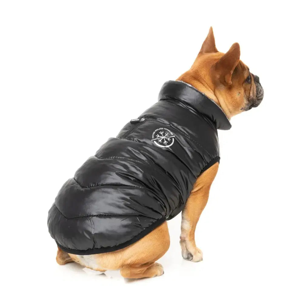 Fuzzyard Hakuba Insulated Dog Puffer Jacket - Black - Fuzzyard - 1