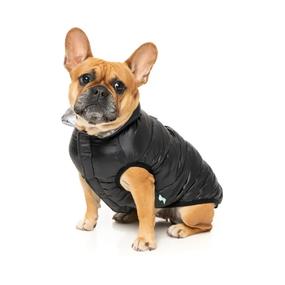 Fuzzyard Hakuba Insulated Dog Puffer Jacket - Black - Fuzzyard - 5