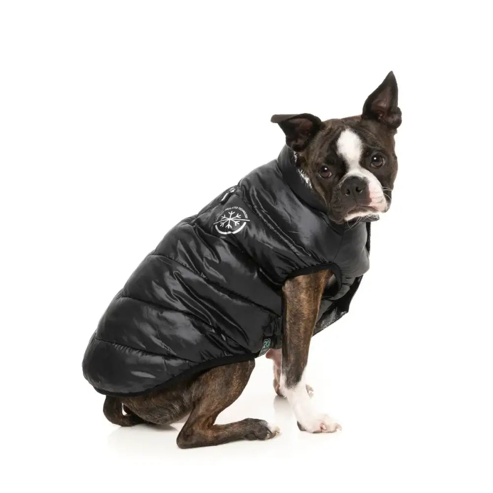 Fuzzyard Hakuba Insulated Dog Puffer Jacket - Black - Fuzzyard - 6