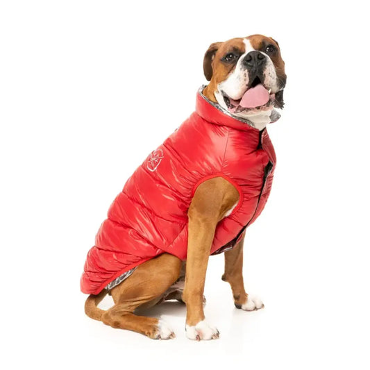 Fuzzyard Hakuba Insulated Dog Puffer Jacket - Red - Fuzzyard - 1