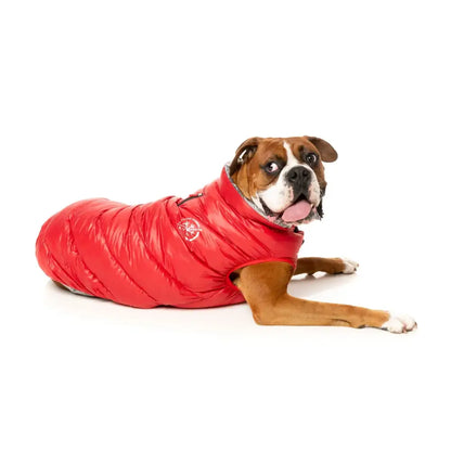 Fuzzyard Hakuba Insulated Dog Puffer Jacket - Red - Fuzzyard - 5