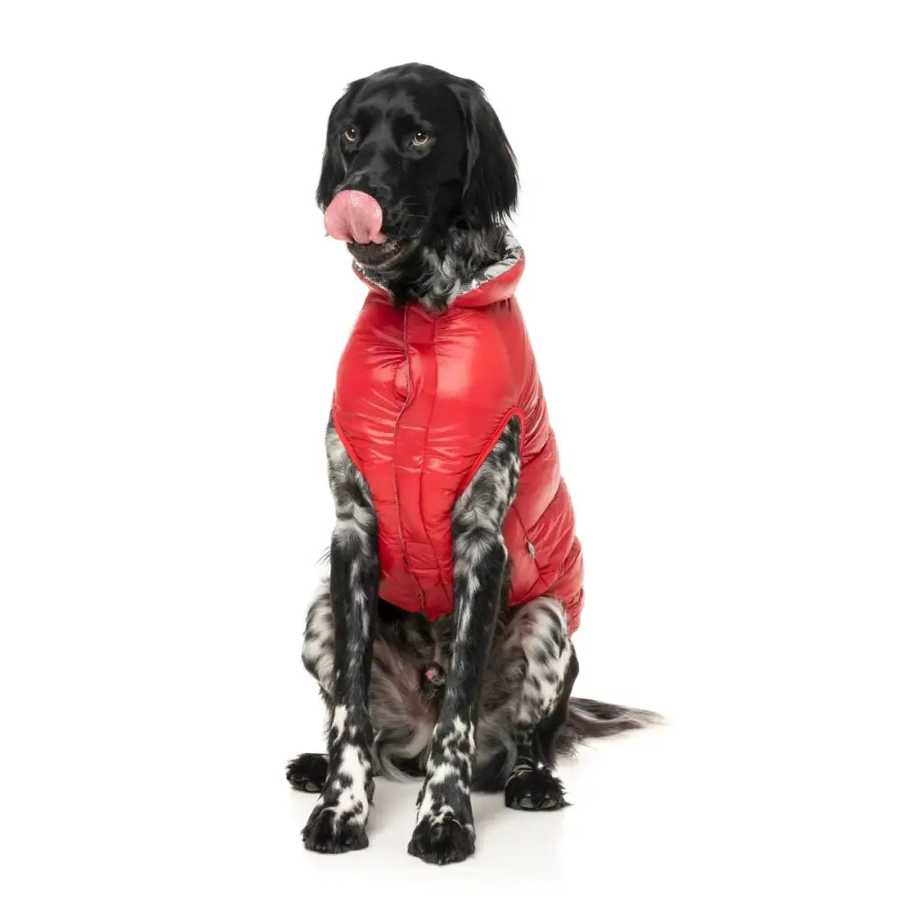 Fuzzyard Hakuba Insulated Dog Puffer Jacket - Red - Fuzzyard - 3