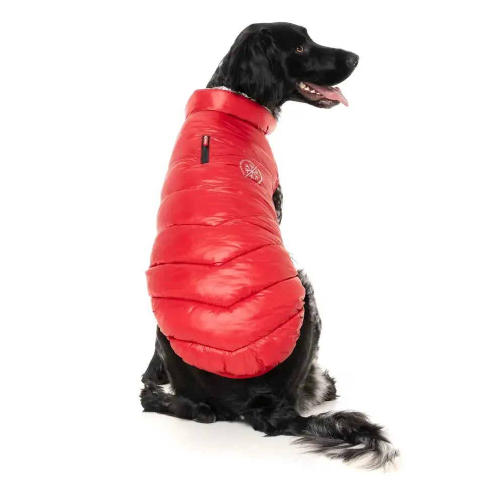 Fuzzyard Hakuba Insulated Dog Puffer Jacket - Red - Fuzzyard - 6