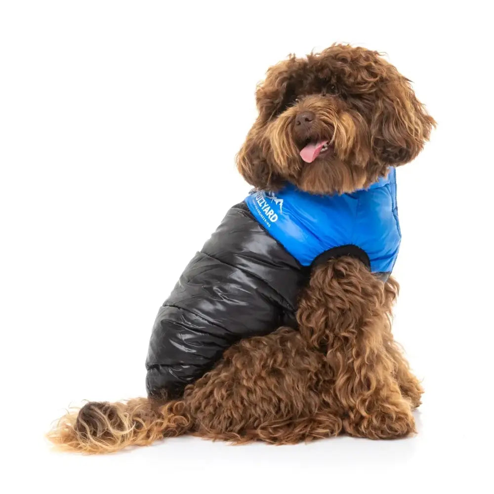 Fuzzyard Harlem Dog Puffer Jacket - Blue - Fuzzyard - 1