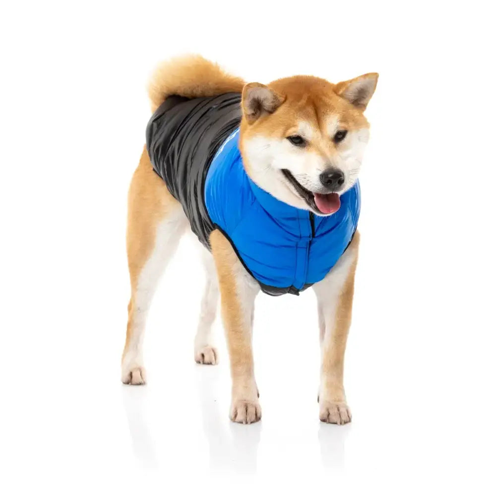 Fuzzyard Harlem Dog Puffer Jacket - Blue - Fuzzyard - 5