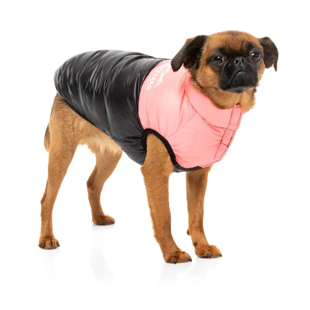 Fuzzyard Harlem Dog Puffer Jacket - Pink - Fuzzyard - 3