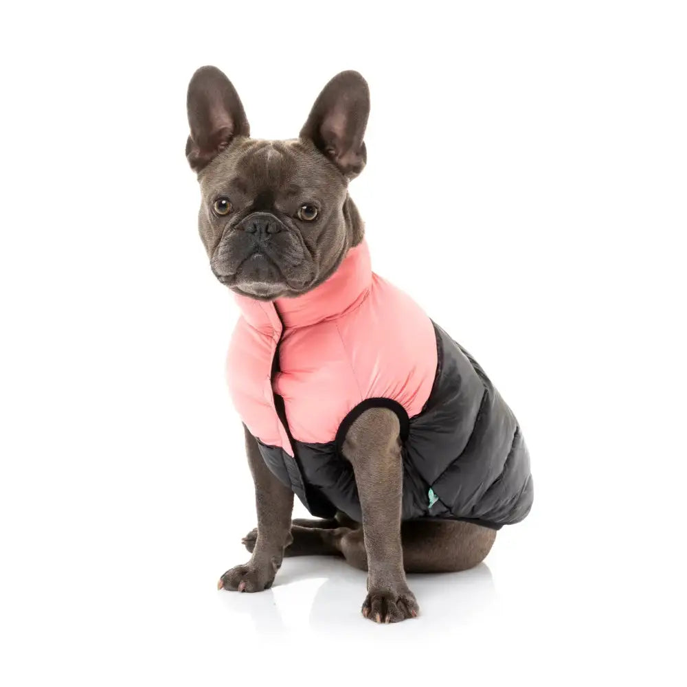 Fuzzyard Harlem Dog Puffer Jacket - Pink - Fuzzyard - 1