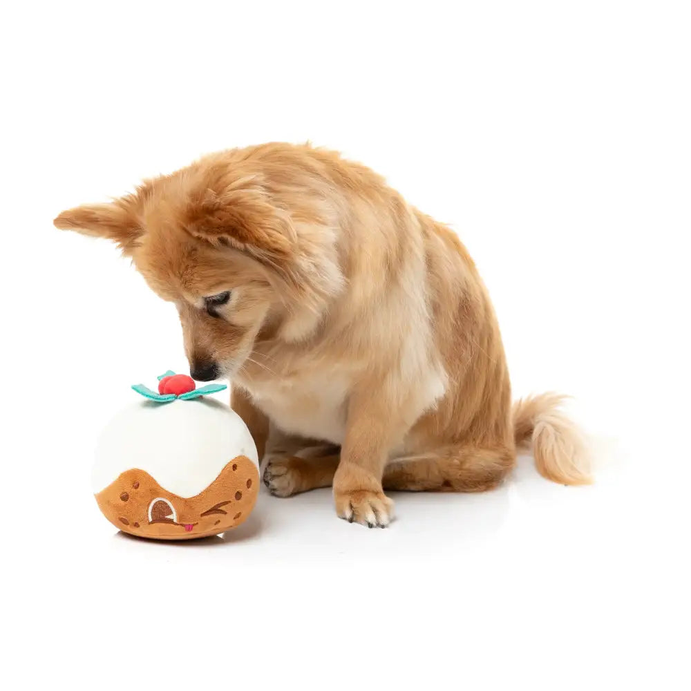 Fuzzyard Hey Puddin Squeaky Plush Christmas Dog Toy - Fuzzyard - 7