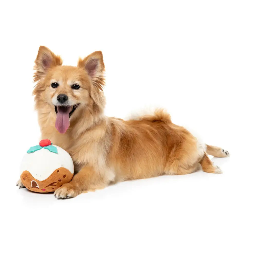 Fuzzyard Hey Puddin Squeaky Plush Christmas Dog Toy - Fuzzyard - 3