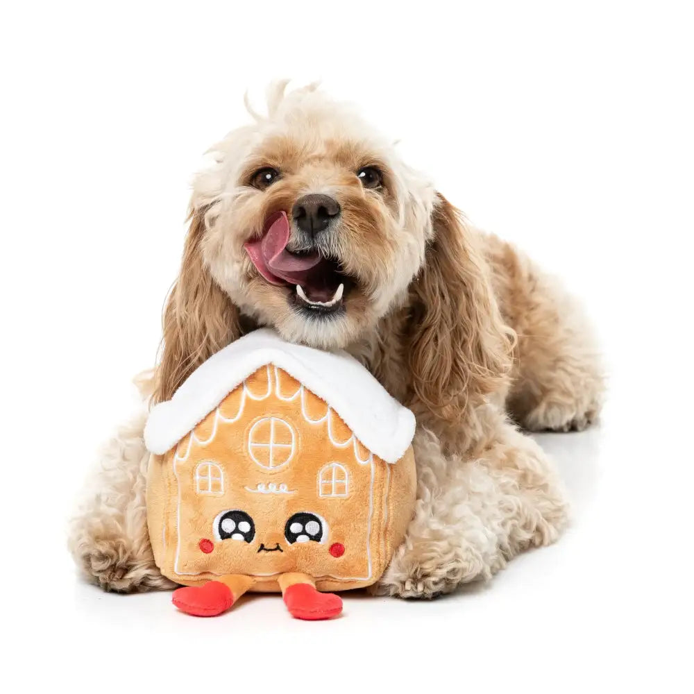 Fuzzyard Holly House Squeaky Plush Christmas Dog Toy - Fuzzyard - 5