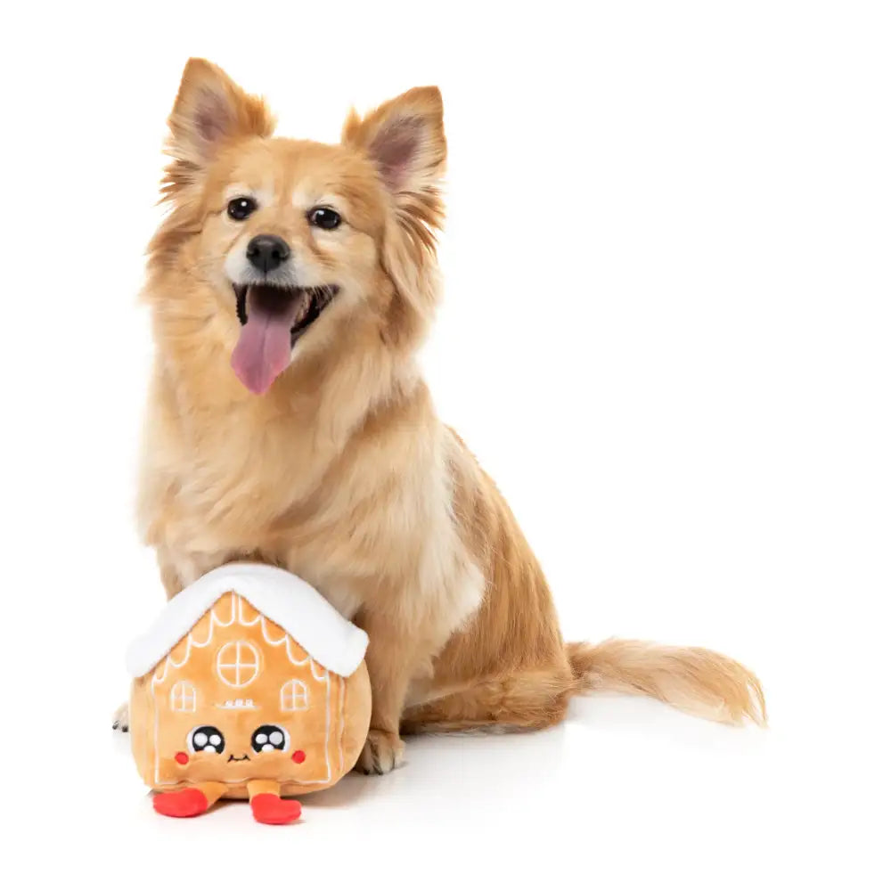 Fuzzyard Holly House Squeaky Plush Christmas Dog Toy - Fuzzyard - 3