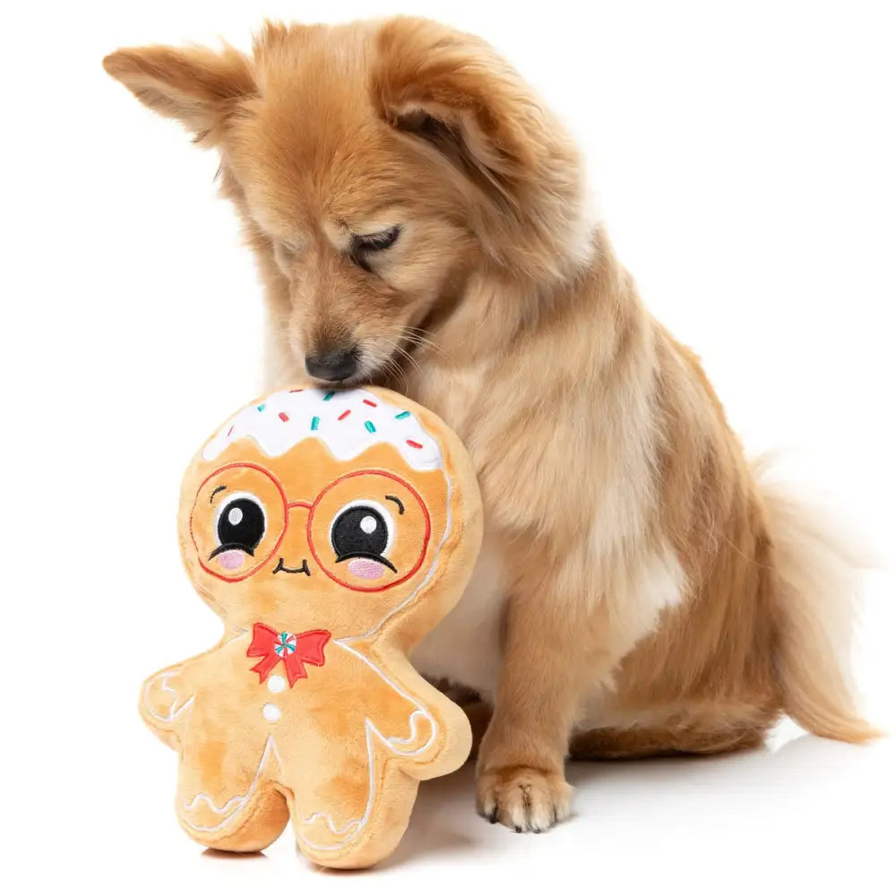 Fuzzyard Jingle Bread Squeaky Plush Christmas Dog Toy - Fuzzyard - 2