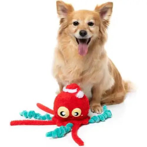 Fuzzyard Jolly Fish Squeaky Plush Christmas Dog Toy - Fuzzyard - 4
