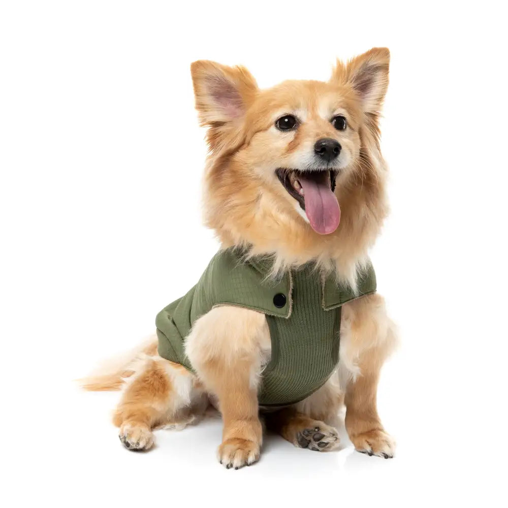 Fuzzyard Khaki Bomber Jacket – Flexible Fit Dog Coat with Harness Hole - Fuzzyard - 3