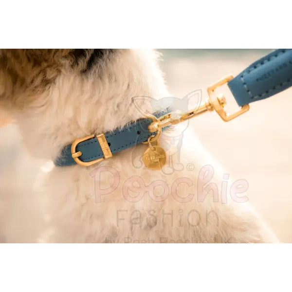 Fuzzyard Life Atelier Dog Collar in French Blue - Fuzzyard - 3
