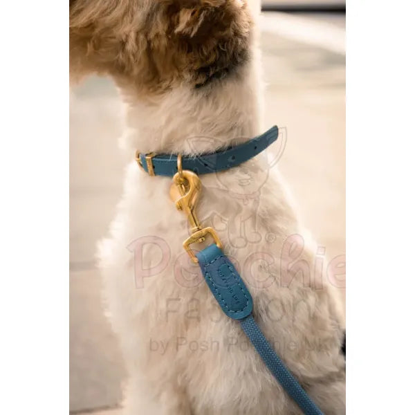 Fuzzyard Life Atelier Dog Collar in French Blue - Fuzzyard - 5