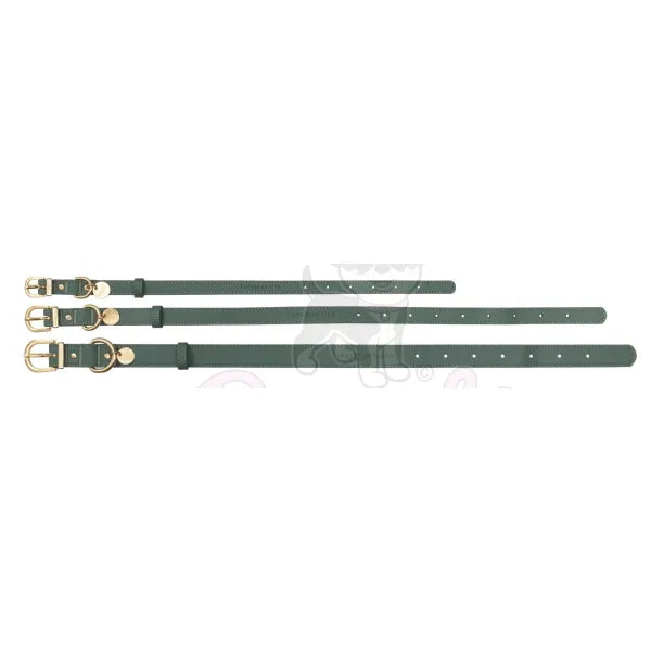 Fuzzyard Life Atelier Dog Collar in Myrtle Green - Fuzzyard - 5