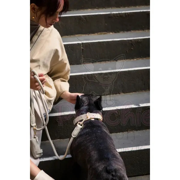 Fuzzyard Life Atelier Dog Collar in Sandstone - Fuzzyard - 4