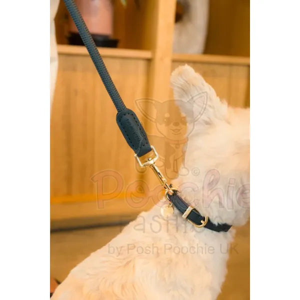 Fuzzyard Life Atelier Dog Collar in Slate Grey - Fuzzyard - 3