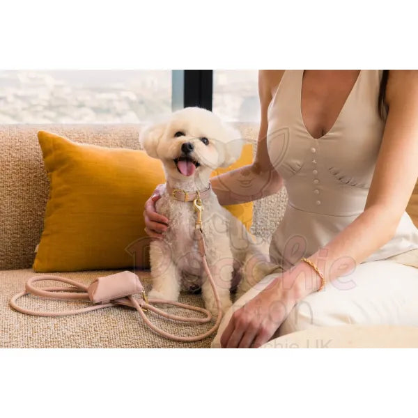 Fuzzyard Life Atelier Dog Collar in Soft Blush Pink - Fuzzyard - 5