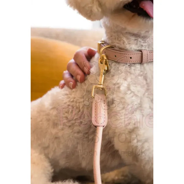 Fuzzyard Life Atelier Dog Collar in Soft Blush Pink - Fuzzyard - 3