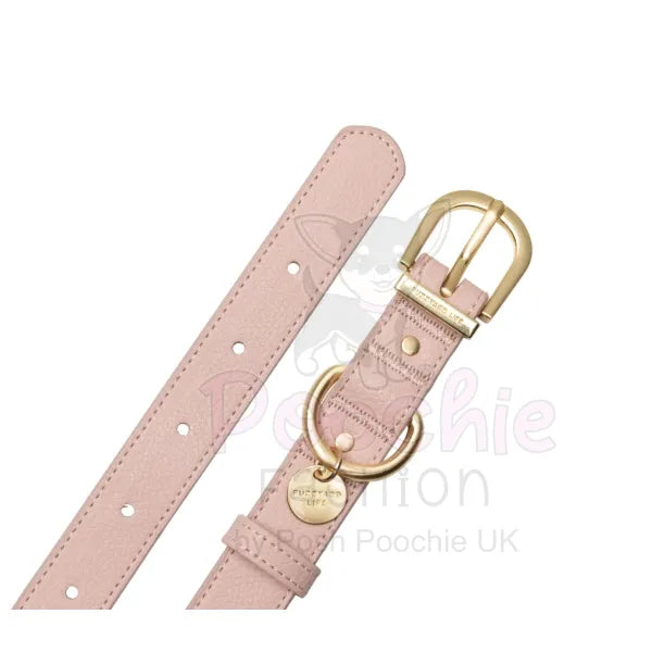 Fuzzyard Life Atelier Dog Collar in Soft Blush Pink - Fuzzyard - 2