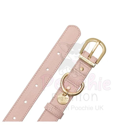 Fuzzyard Life Atelier Dog Collar in Soft Blush Pink - Fuzzyard - 2