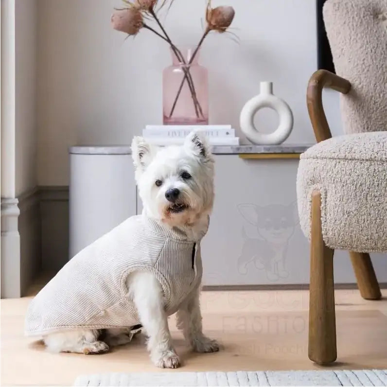 Fuzzyard Life Corduroy Dog Jacket - Sandstone - Fuzzyard - 2