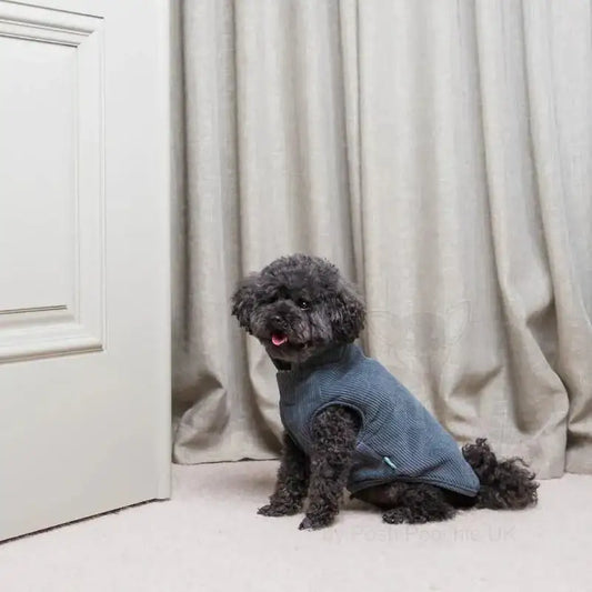 Fuzzyard Life Corduroy Dog Jacket - Slate Grey - Fuzzyard - 2