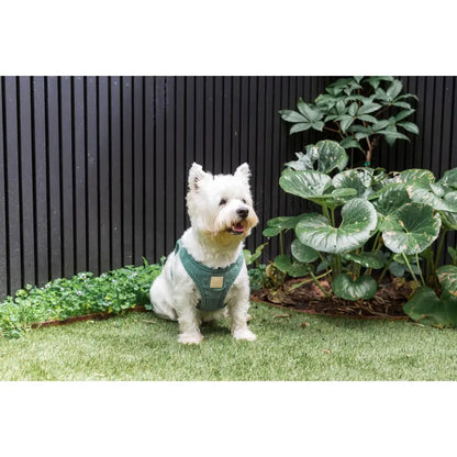 Fuzzyard Life Corduroy Step-in Dog Harness in Myrtle Green - Fuzzyard - 3