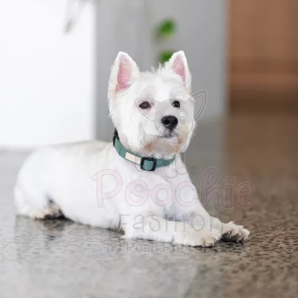 Fuzzyard Life Dog Collar in Myrtle Green - Fuzzyard - 2