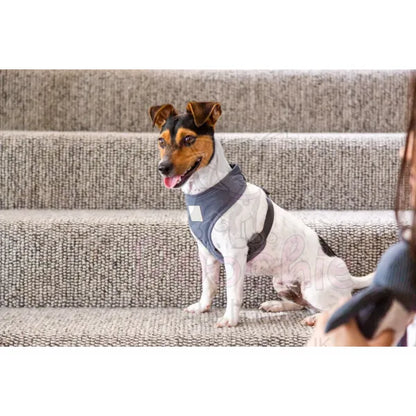Fuzzyard Life Dog Harness in Slate Grey - Fuzzyard - 3