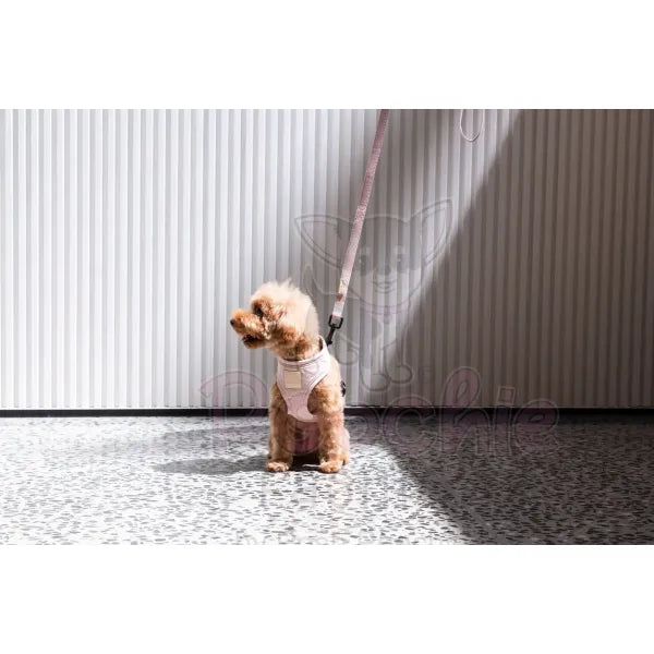 Fuzzyard Life Dog Harness in Soft Blush Pink Fuzzyard 3