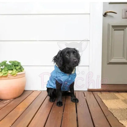 Fuzzyard Life Dog Raincoat in French Blue - Fuzzyard - 2