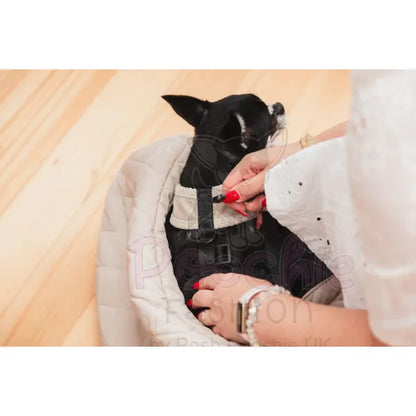 Fuzzyard Life Dog Sling Carrier in Sandstone Fuzzyard 2